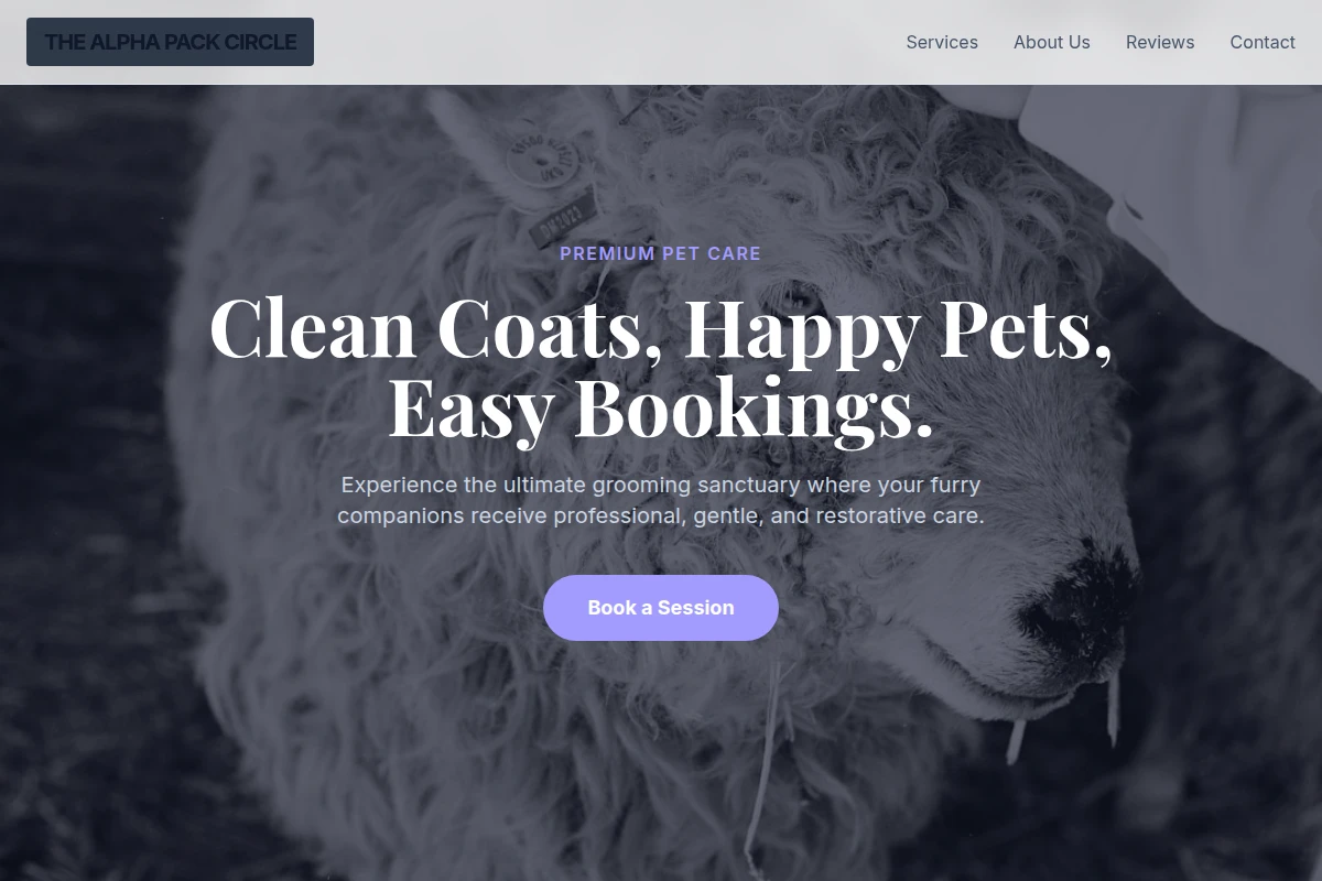 Collar Animal Care