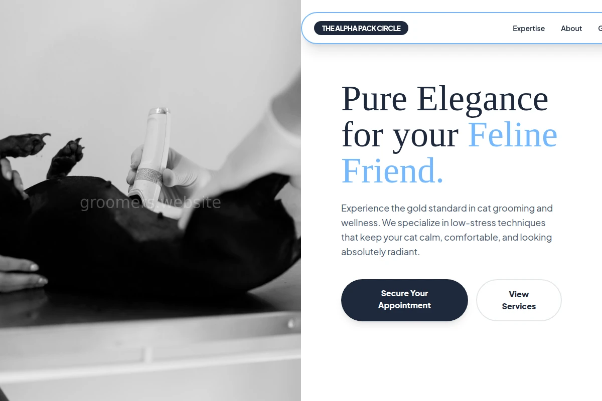 Feline Animal Care