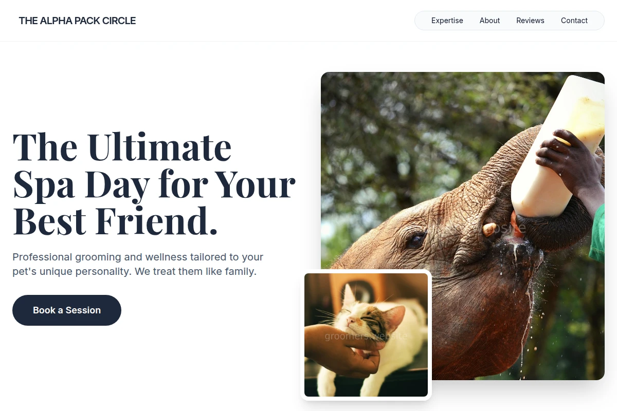 Style Animal Care