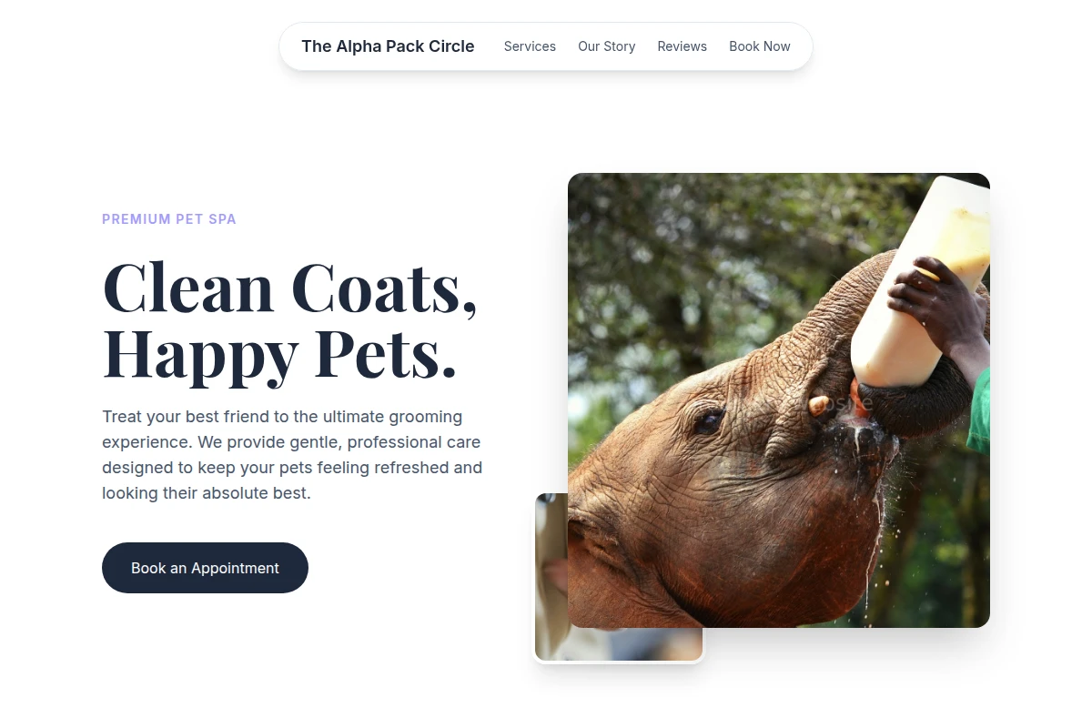 Groomer Animal Care