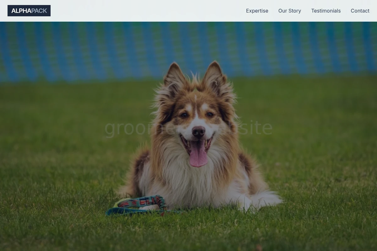 dog-training