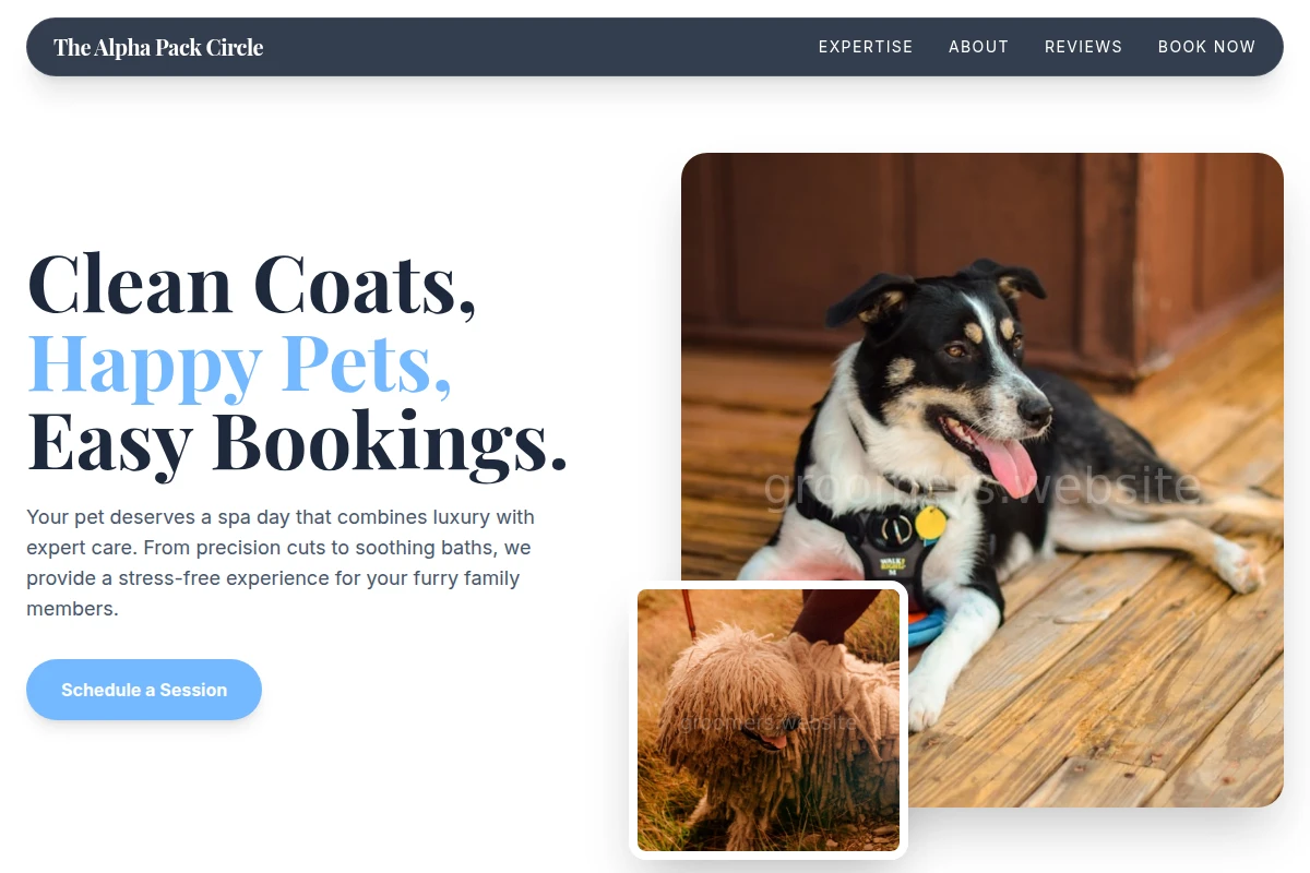 Studio Pet Services